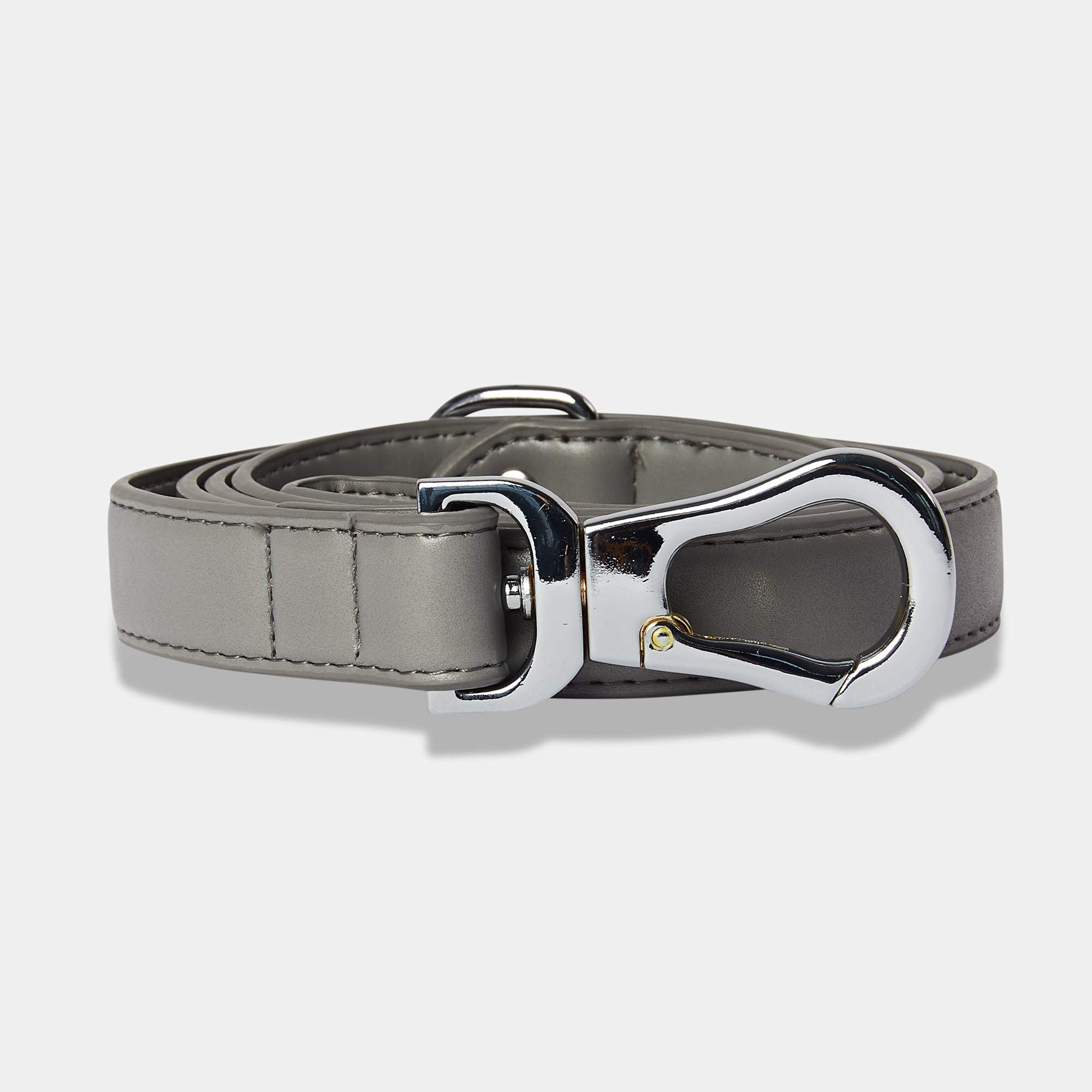 Grey dog 2025 collar and lead