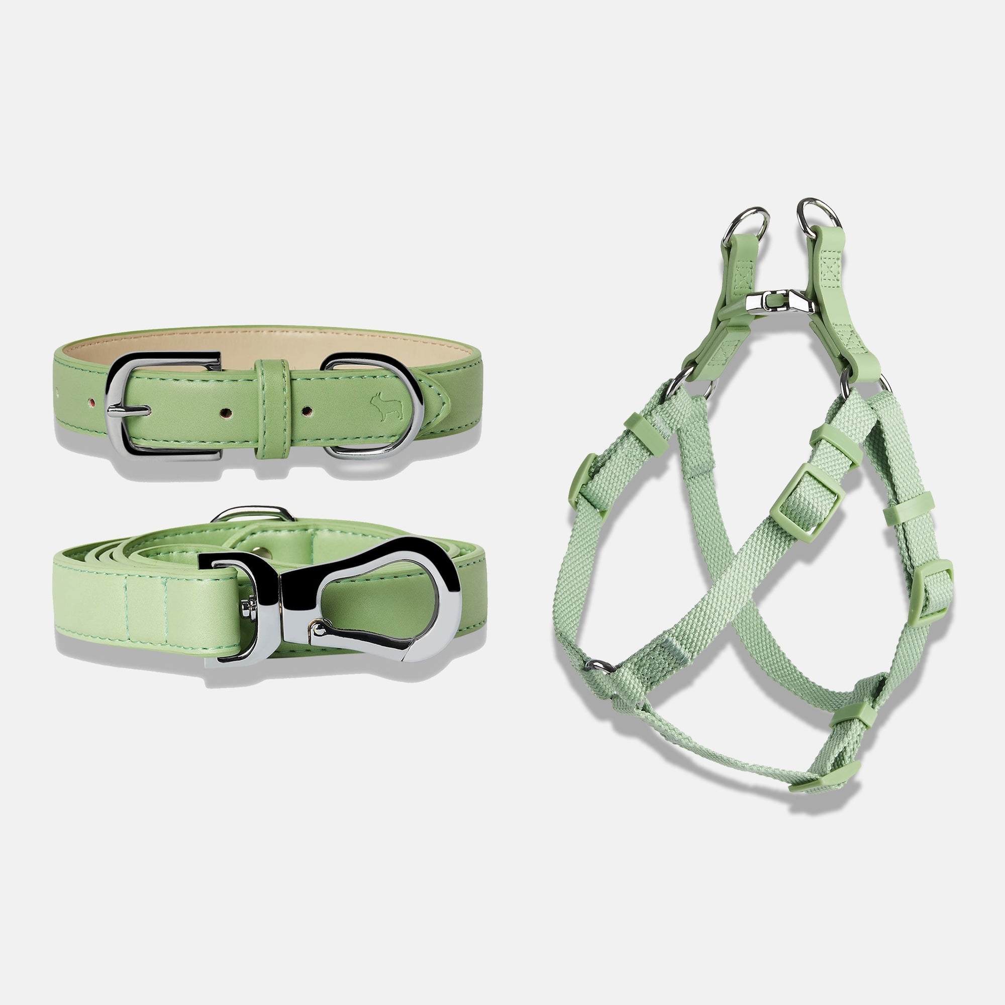 Puppy collar sales and lead uk