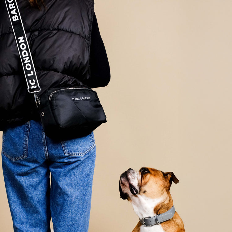 Black Everyday Dog Walking Bag