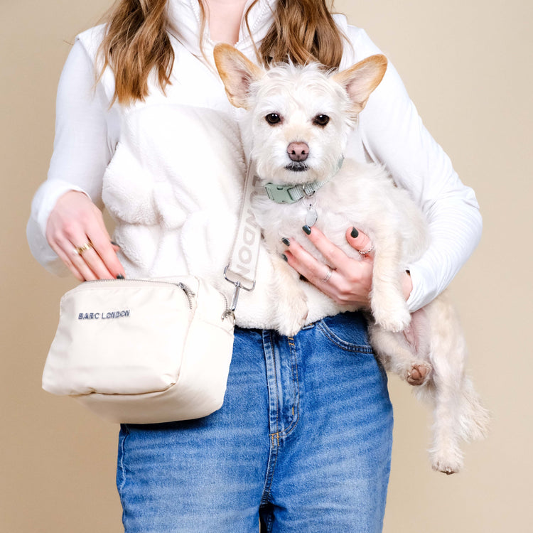 Cream Everyday Dog Walking Bag