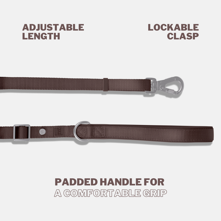 Russet Brown Essential Adjustable Lead