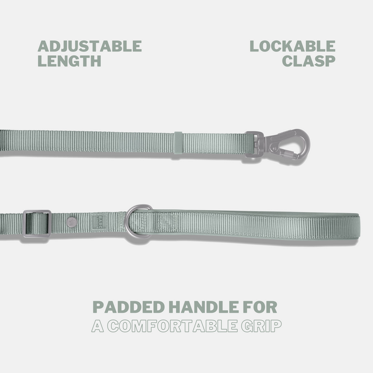 Pistachio Green Essential Adjustable Lead