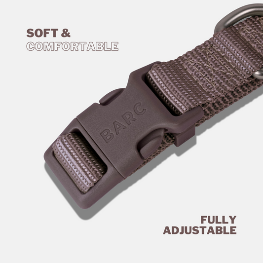 Russet Brown Essential Dog Collar