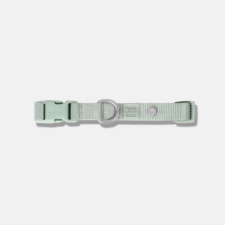 Pistachio Green Essential Dog Collar