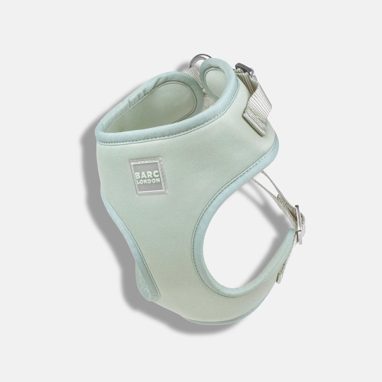 Pistachio Green Easy Fit Dog Harness