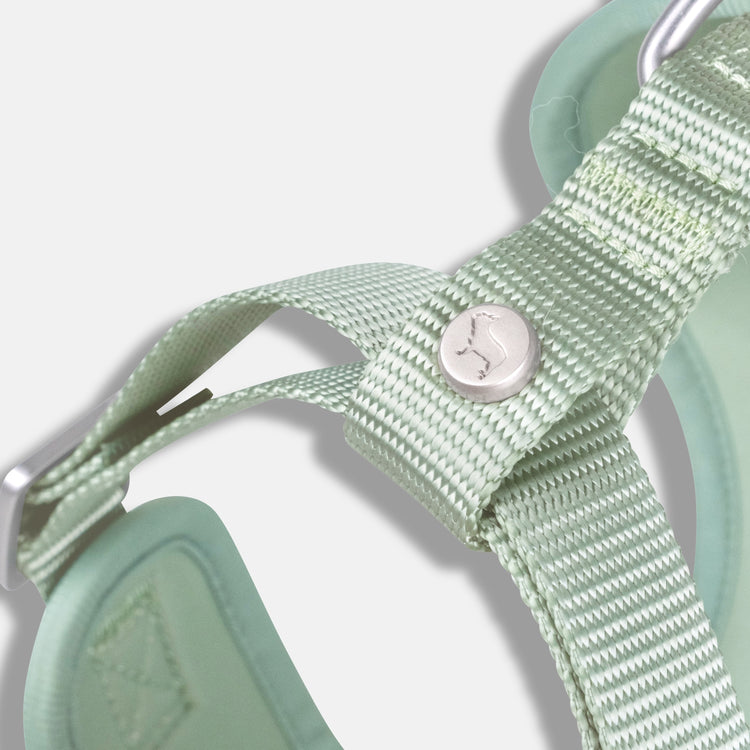 Pistachio Green Easy Fit Dog Harness