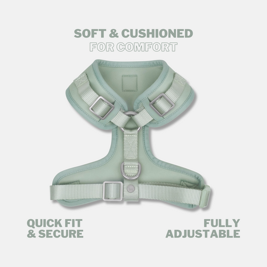 Pistachio Green Easy Fit Dog Harness