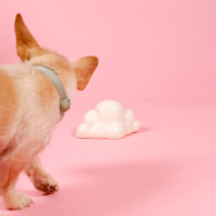 Cloud Squeaky Dog Toy