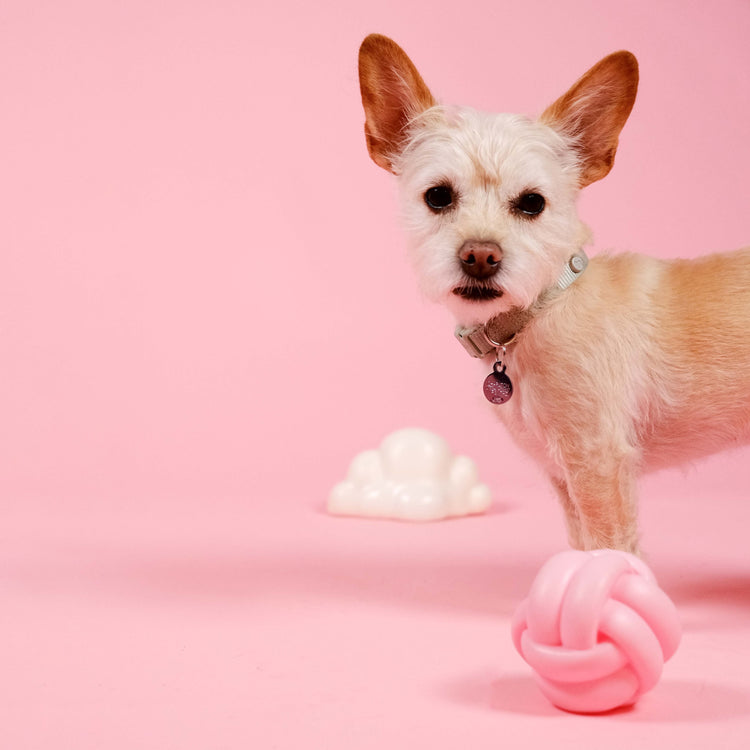 Cloud Squeaky Dog Toy