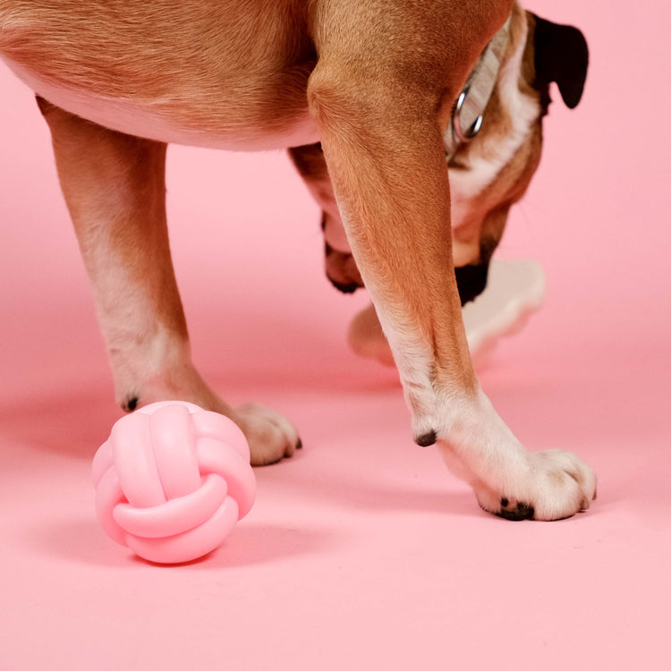 Knotball Squeaky Dog Toy