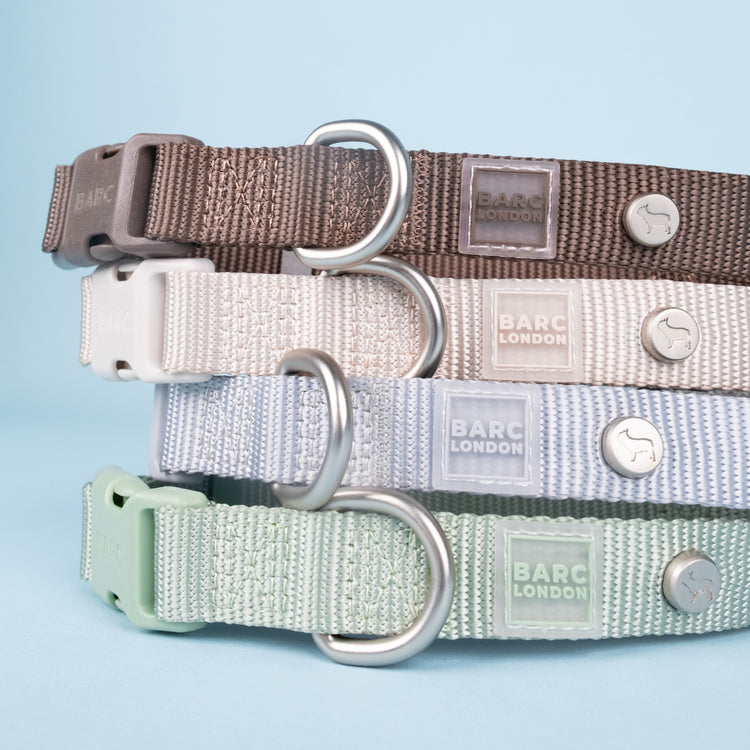 Pistachio Green Essential Dog Collar