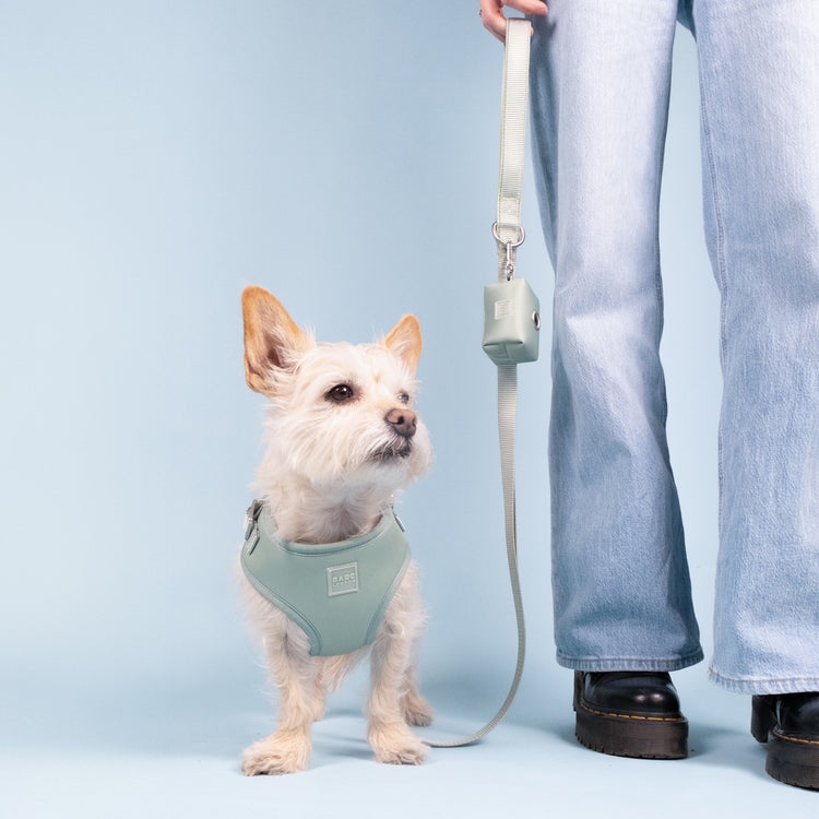 Pistachio Green Essential Adjustable Lead