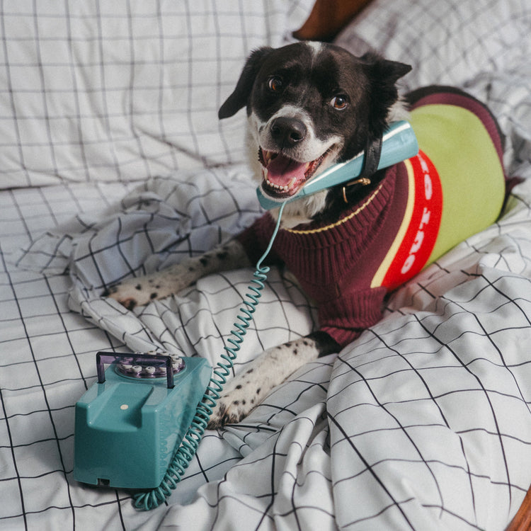 Out Of Office Knitted Dog Jumper