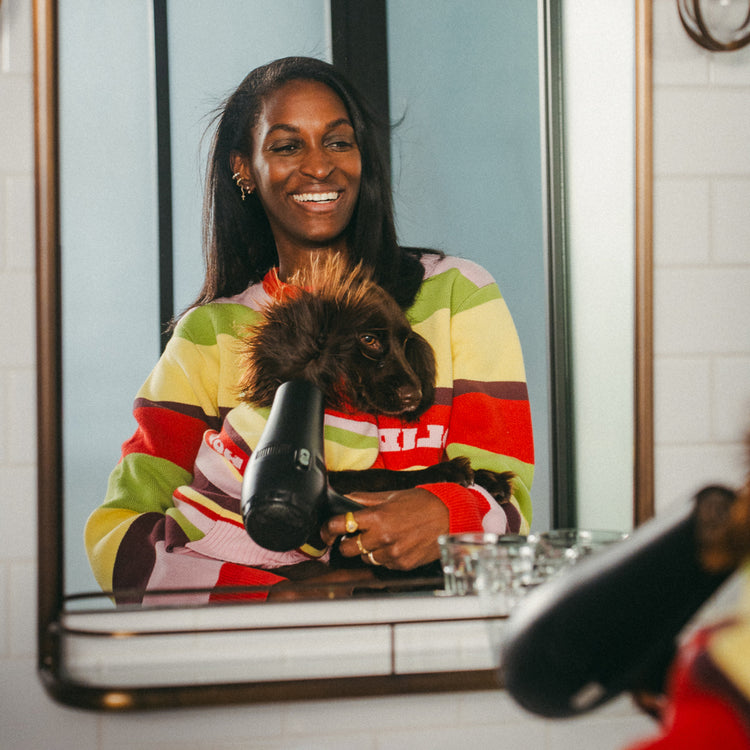 Holiday Club Knitted Dog Jumper, Stripes