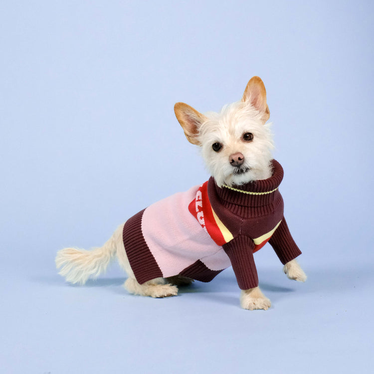 Holiday Club Knitted Dog Jumper, Pink