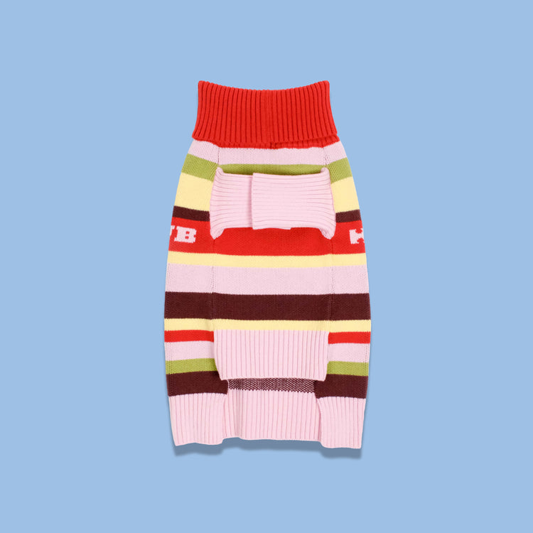 Holiday Club Knitted Dog Jumper, Stripes