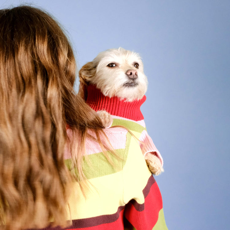 Holiday Club Knitted Jumper, Stripes