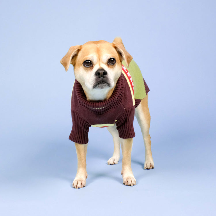 Out Of Office Knitted Dog Jumper