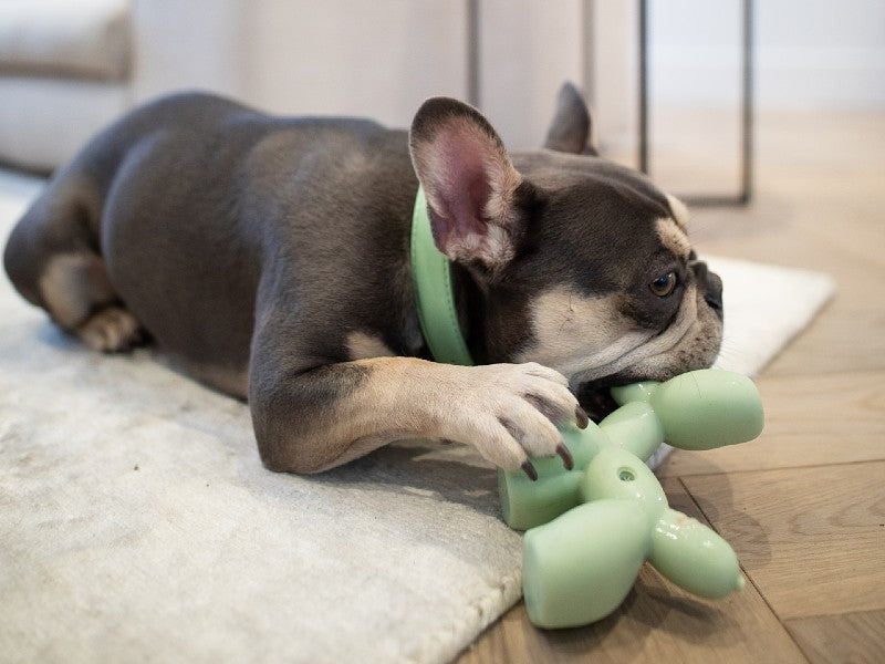 Best toys for 2025 french bulldogs uk