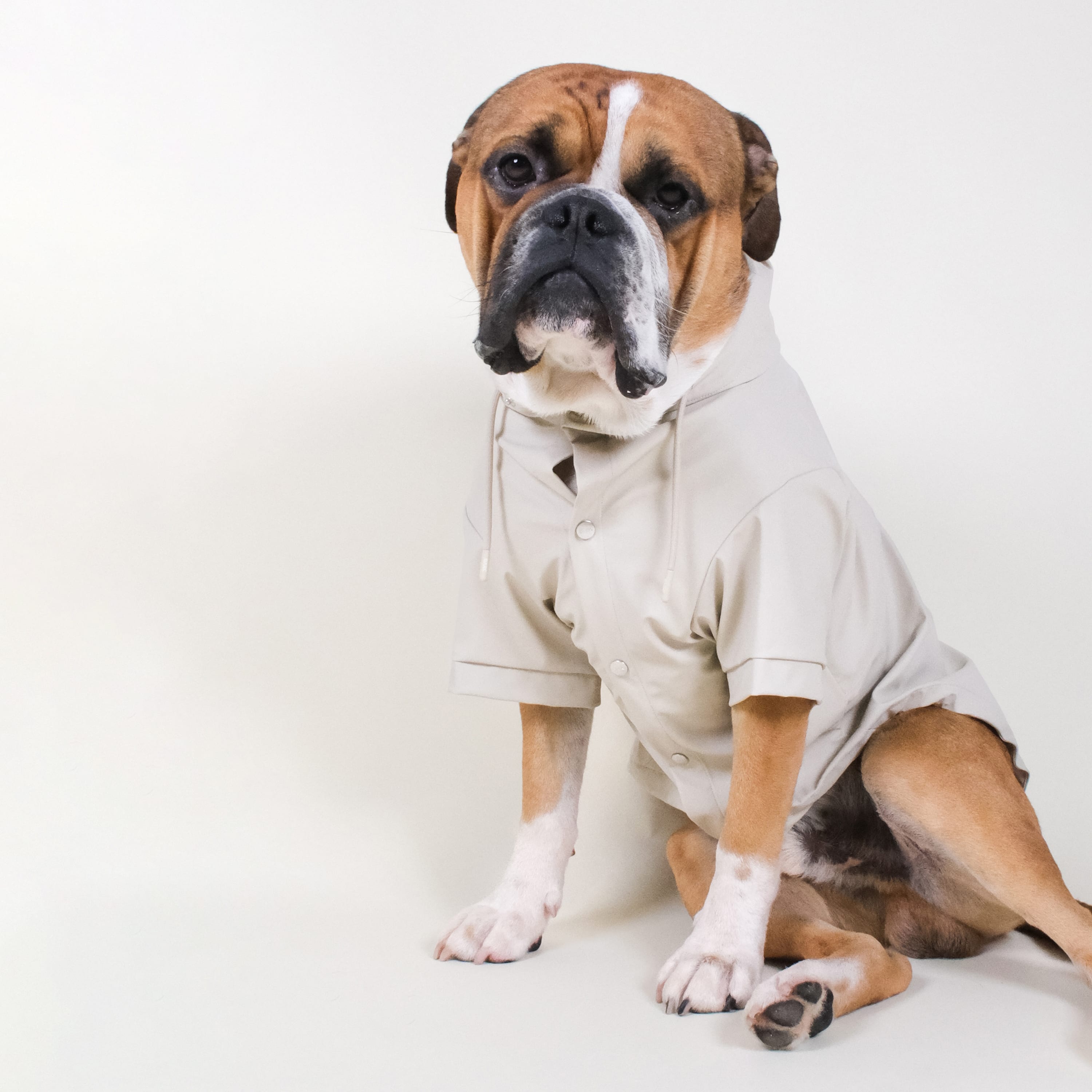 Boxer dog raincoat best sale