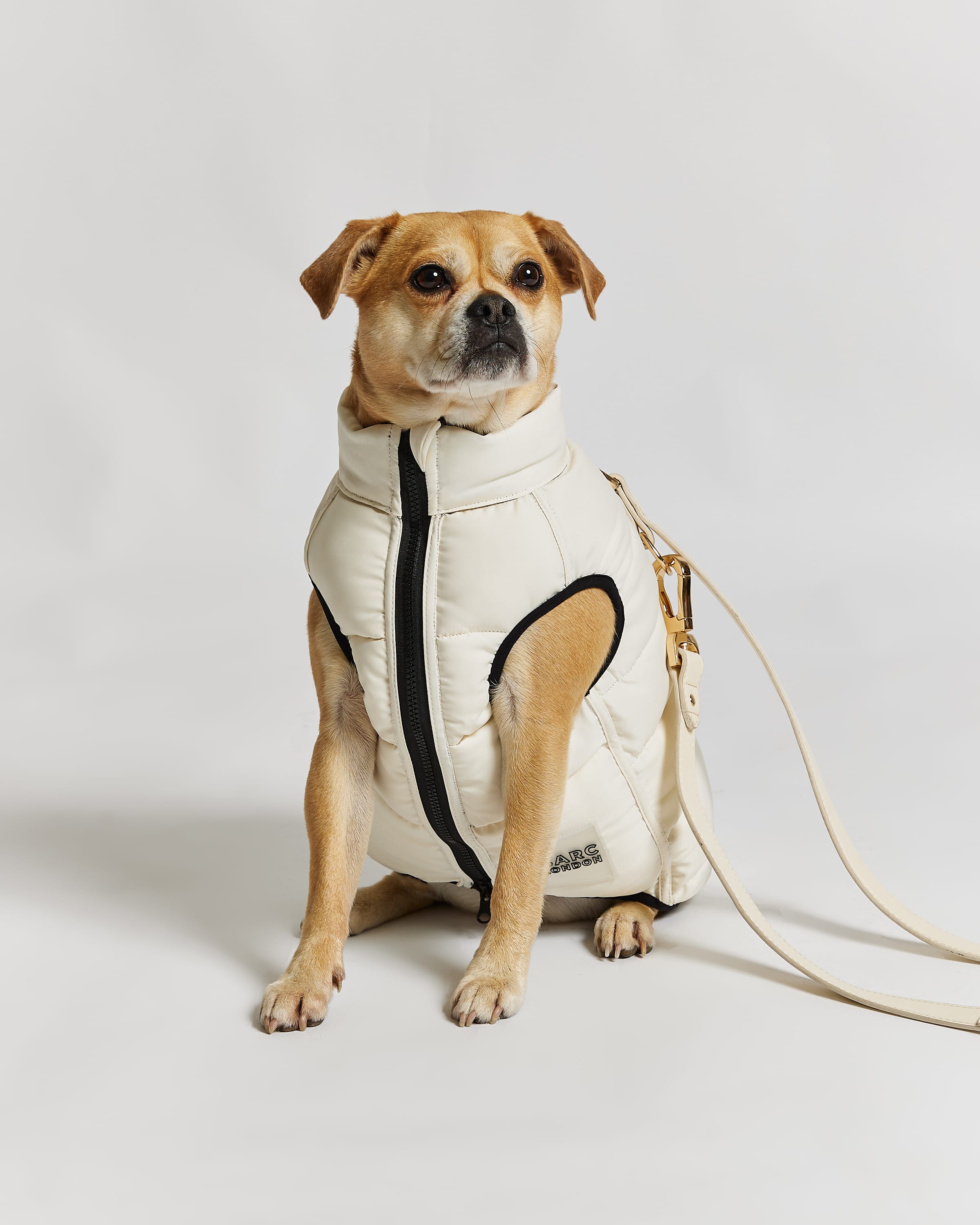 Reversible Dog Puffer Jacket in Black Off White Barc London