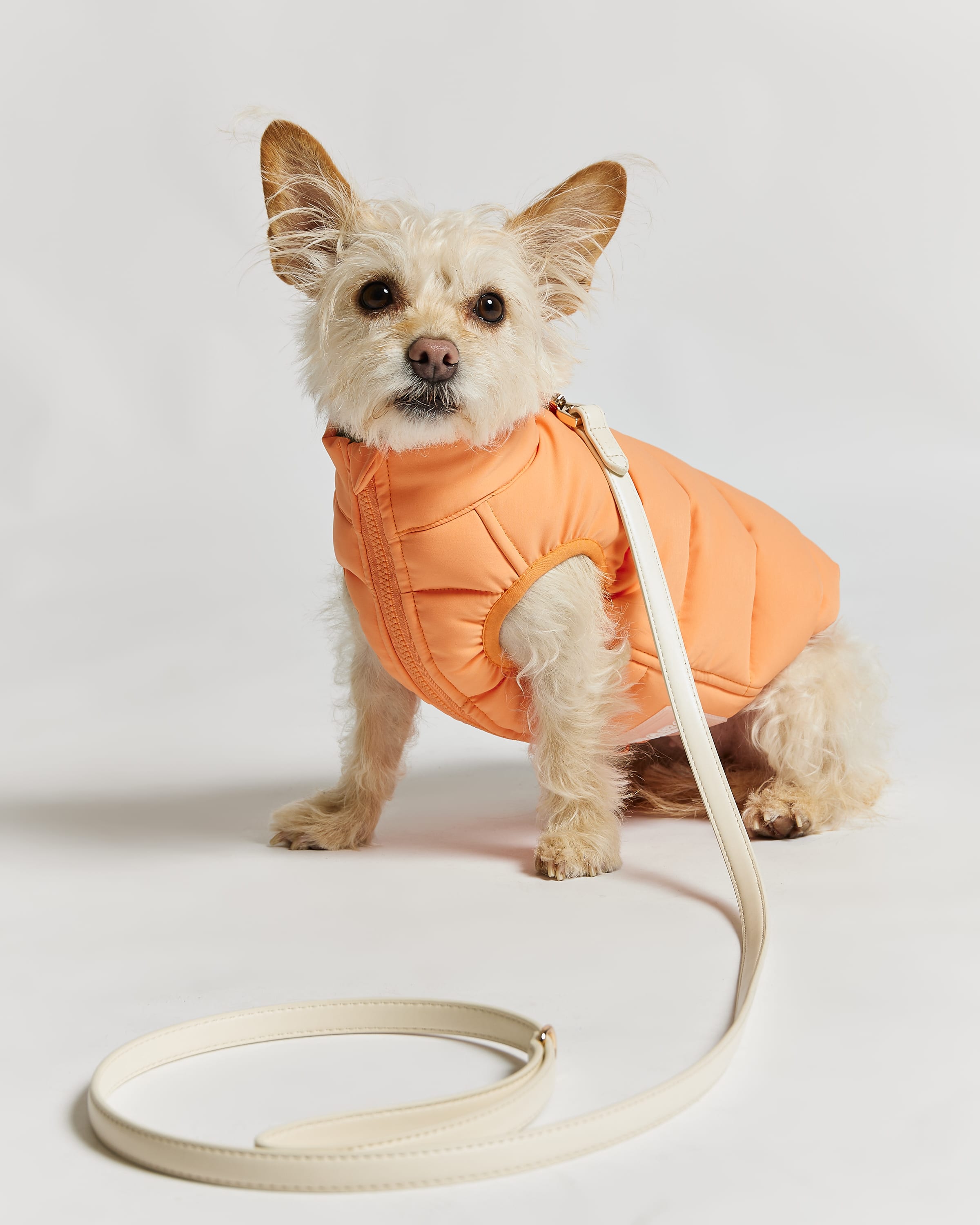 Reversible Dog Puffer Jacket, In Coral & Khaki Green | Barc London