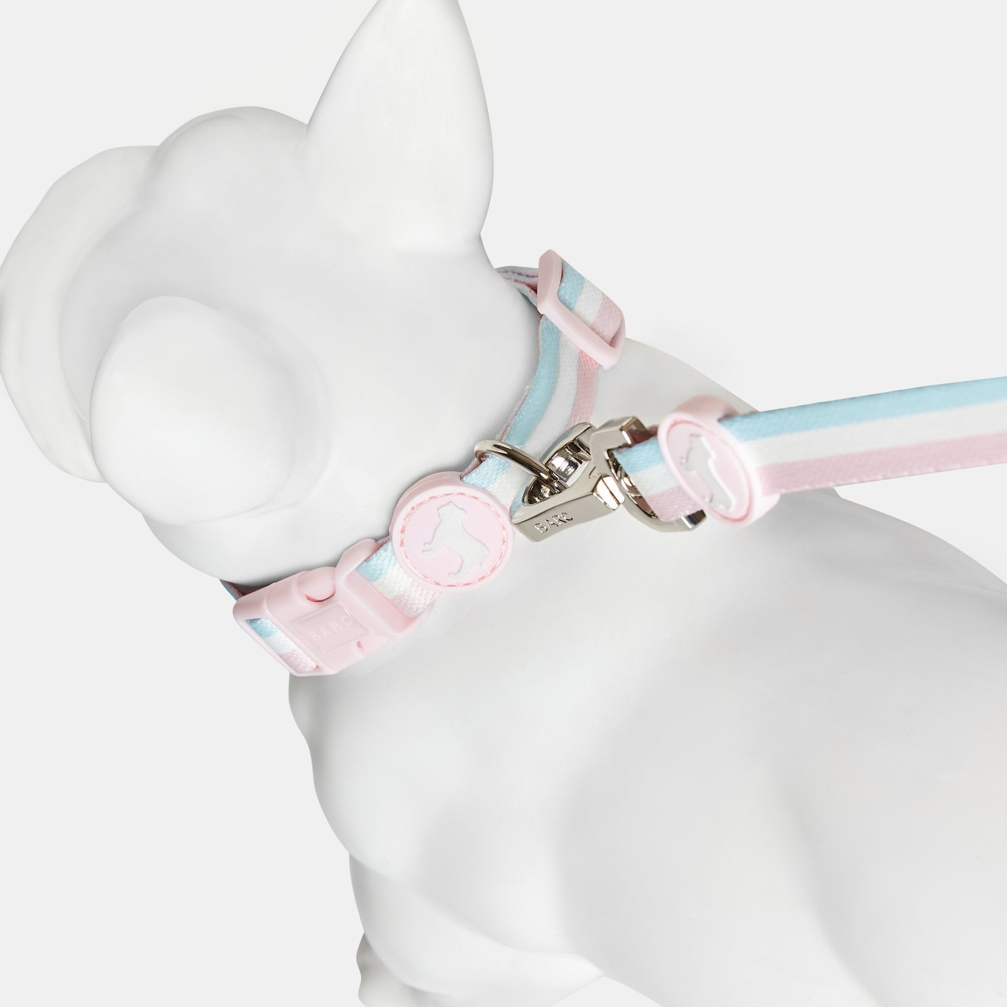 Pretty dog collar hotsell