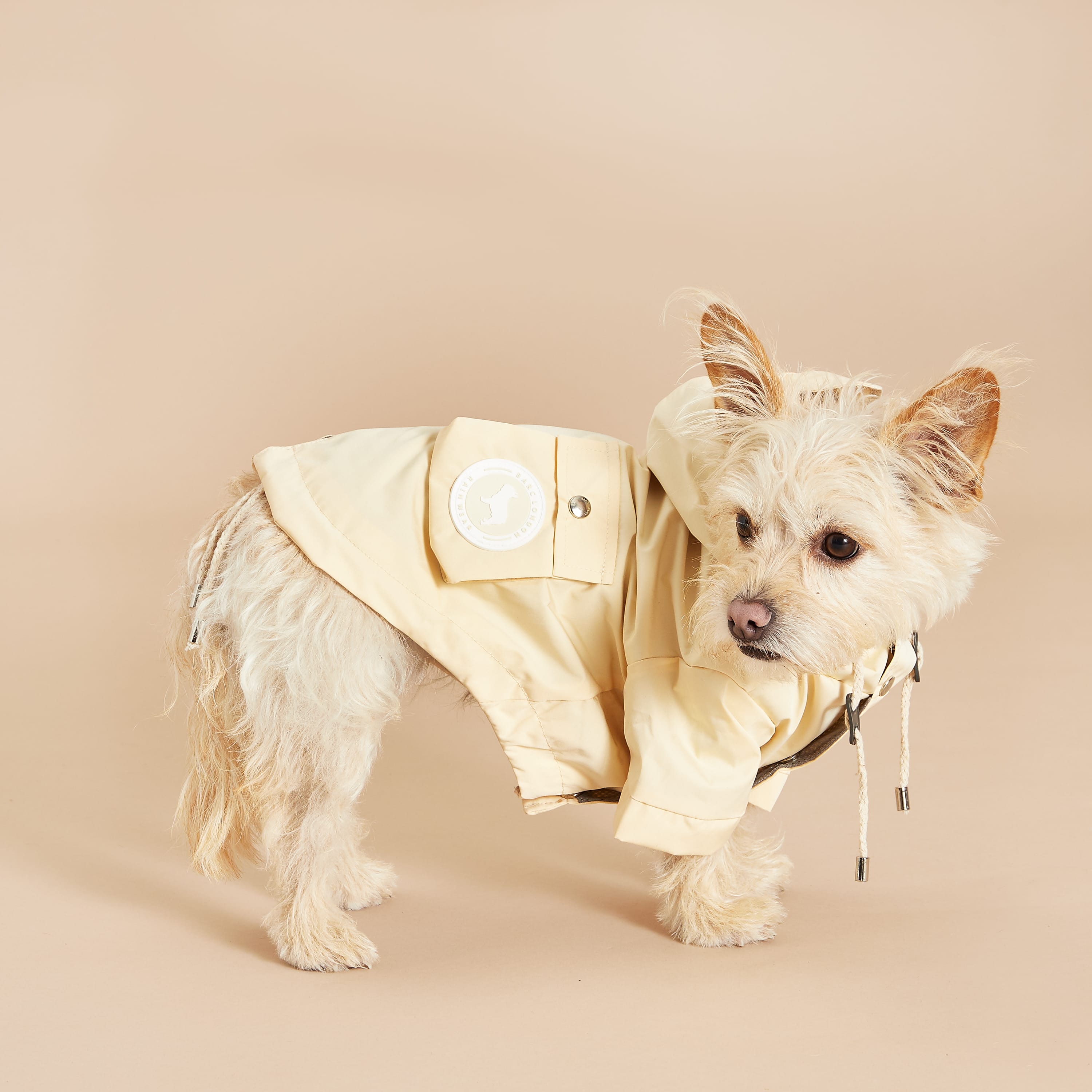 Little shop dog raincoat