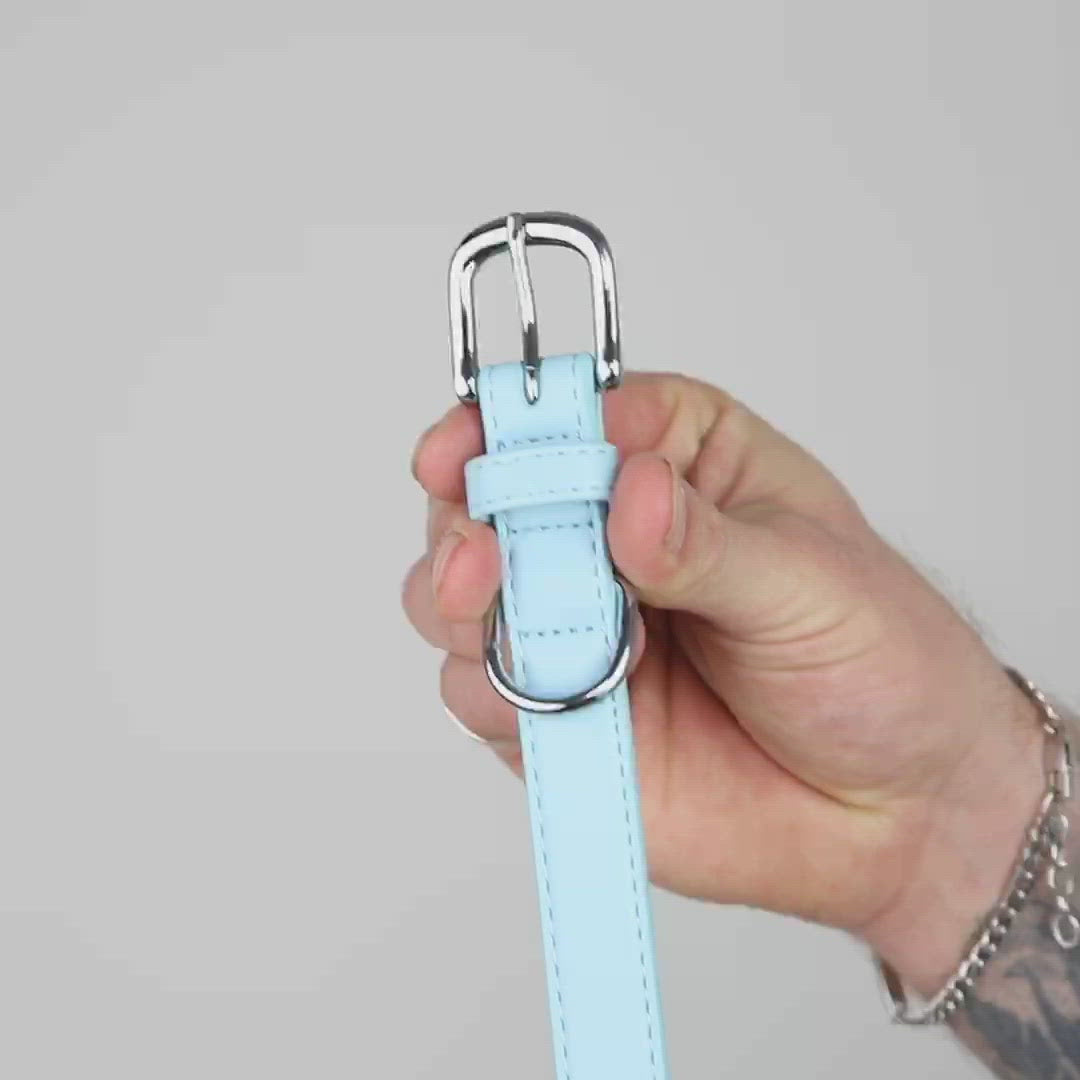 Light blue dog collars best sale