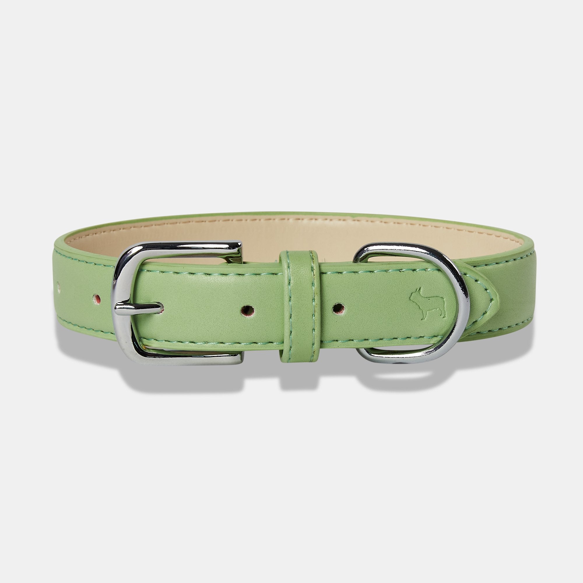 Green dog store collar and lead