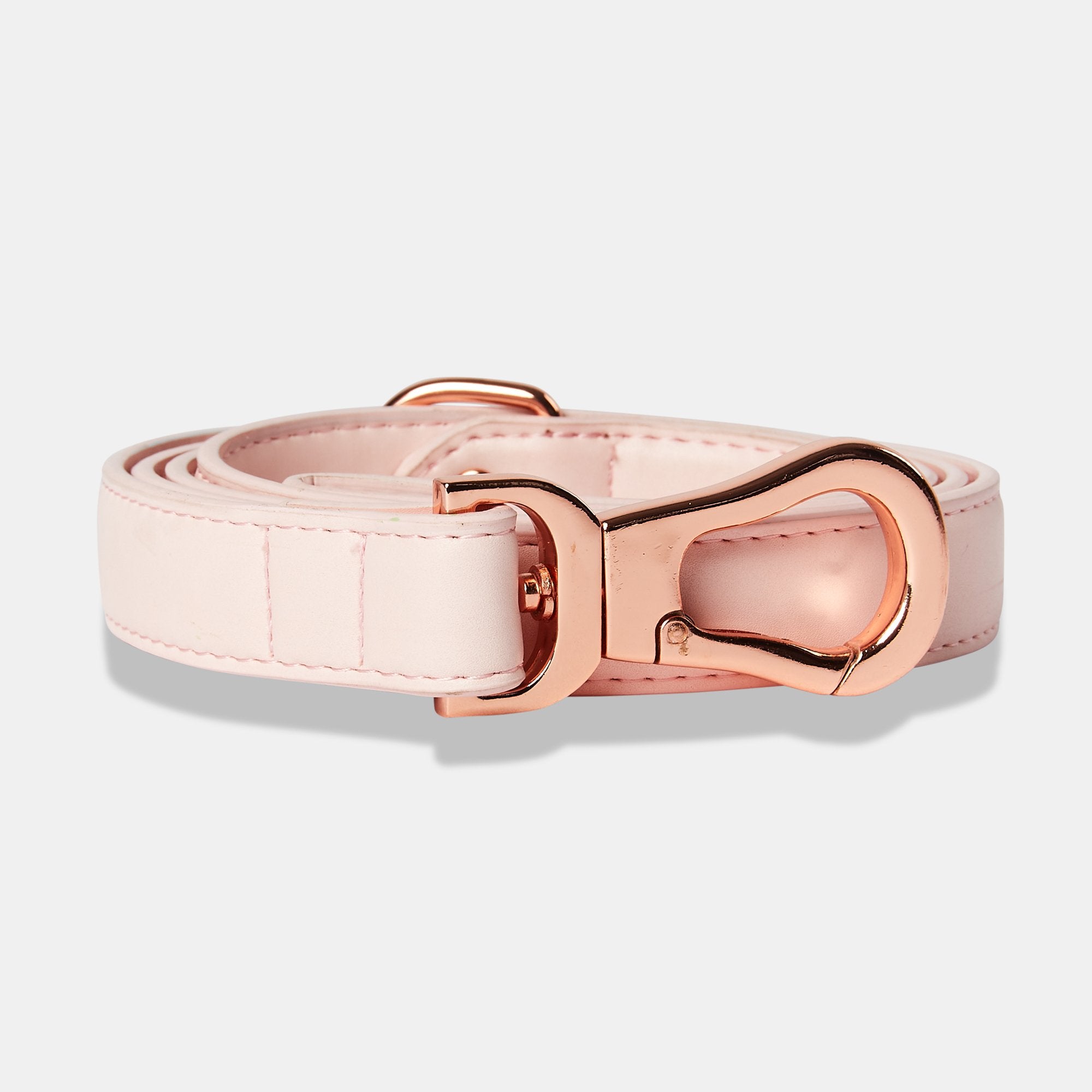 Rose gold 2025 dog lead